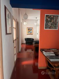 Stanza uso professionale