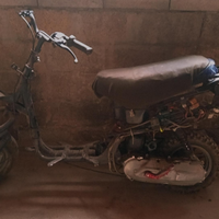 Aprilia amico