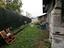 Immagine 29