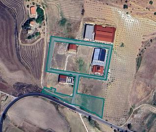 Terreni a Delia (CL)