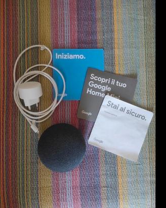 Google mini home