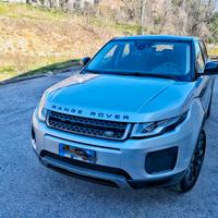 range rover diesel tdi senza problemi 