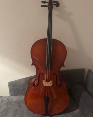 Violoncello 3/4 studio
