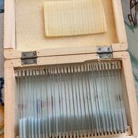 Bresser 5985000 Vetrini Preparati: Istologia