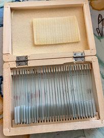 Bresser 5985000 Vetrini Preparati: Istologia