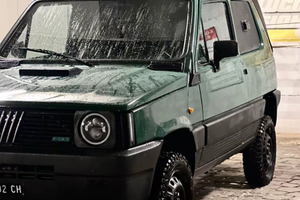 PANDA 4x4 - VAN - ASI - TRASPORTO CANI