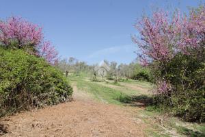 TER. RESIDENZIALE A STRONCONE