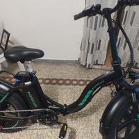 Bici elettrica fat bike