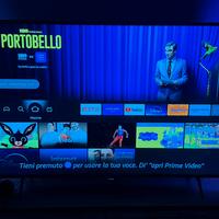 TV smart 4k 55 pollici Philips come nuova