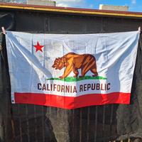 California Republic Bandiera