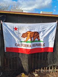 California Republic Bandiera