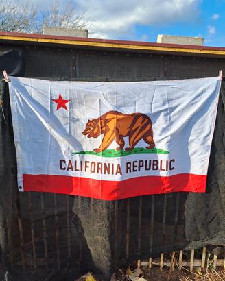 California Republic Bandiera