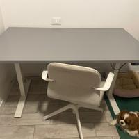 scrivania Ikea regolabile in altezza