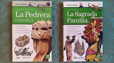2 libri architetto Gaudi