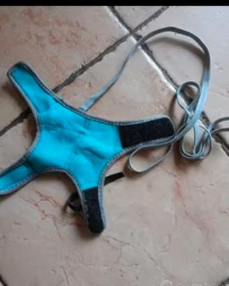 Guinzaglio per conigli