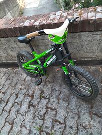 bicicletta
