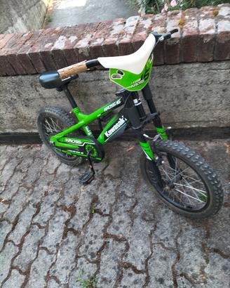 bicicletta