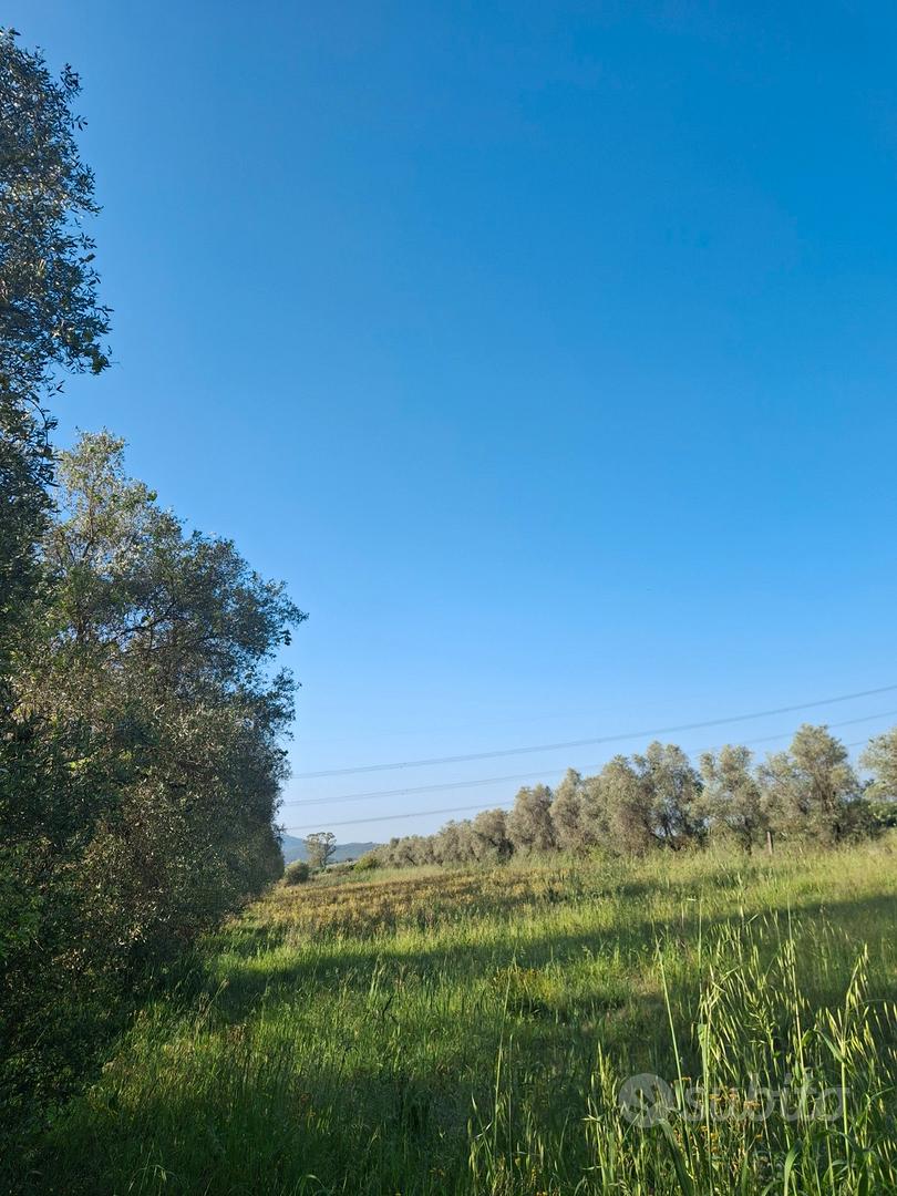 Terreno agricolo - Altro