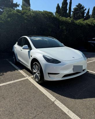 Tesla Model Y RWD anno 2024 a trazione posteriore