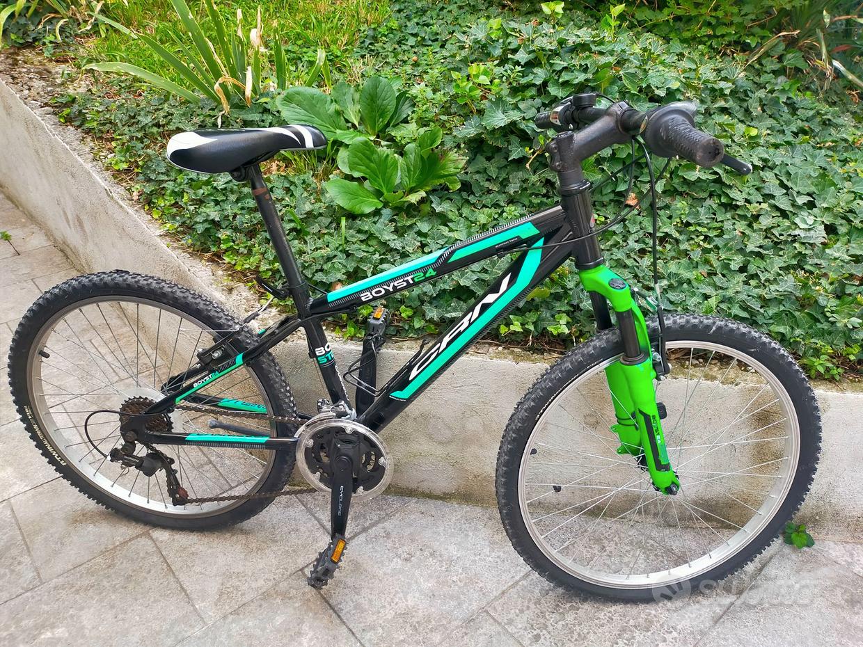 Mountain Bike Carnielli City Bike Prestige Mountain Bike Carnielli