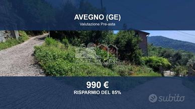 Immobile in asta di 1968 m² a Avegno