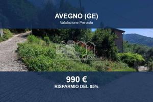Immobile in asta di 1968 m² a Avegno