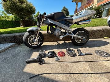minimoto da corsa