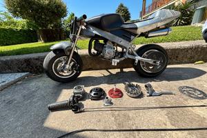 minimoto da corsa