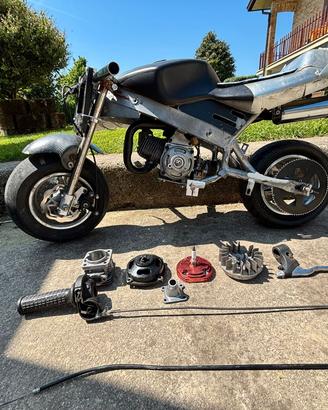 minimoto da corsa