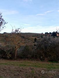 Terreno agricolo zona Serpiolle (Fi)