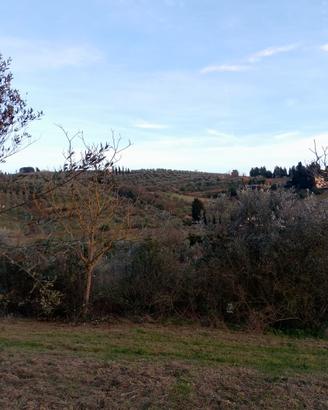 Terreno agricolo zona Serpiolle (Fi)