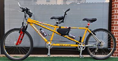 TANDEM...DIVENTA ELETTRICO MOTORE 80 NM COPPIA