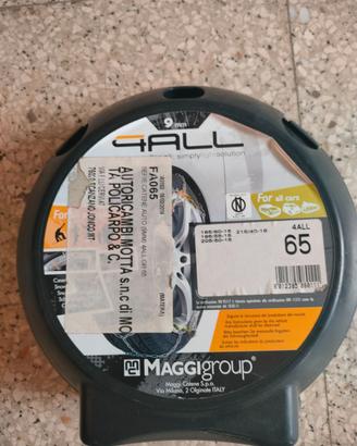 Catene per auto