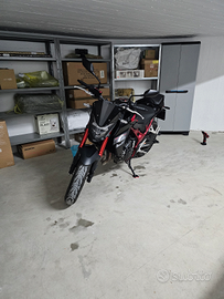 Honda Hornet 750 2023 come nuova quick shifter