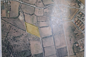 Terreno agricolo