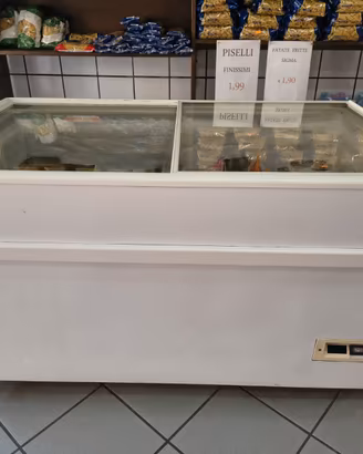 Congelelatore IARP vetri scorrevoli 595L