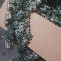 filo d'erba da balcone x natale
