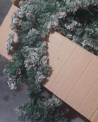 filo d'erba da balcone x natale
