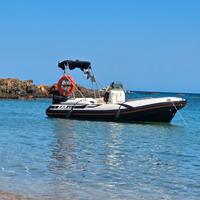 zar 43 con mercury pro 40/60 nuovo