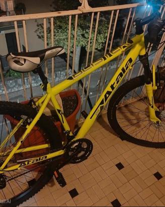 Atala Buster 29" + casco