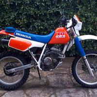 Honda XR 250 R dall'ara