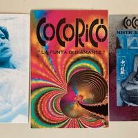 Biglietti flyers Cocoricò discoteca anni 90