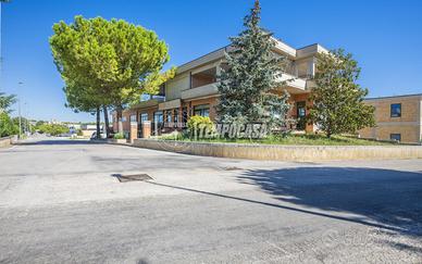 Capannone a Appignano Via L. da Vinci 1 locali