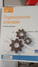 Organizzazione aziendale  7.ma edizione di Daft