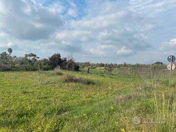 Terreno in località Feo