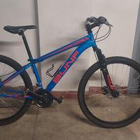 bicicletta da ragazzo