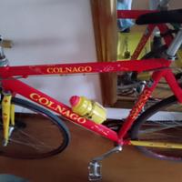 Bici Colnago