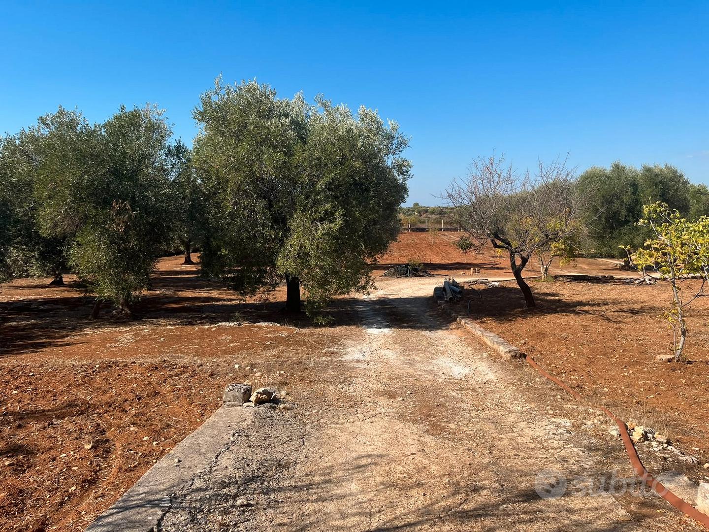 C.da Perito - Terreno con trullo - Vista 4