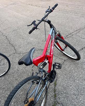 Bicicletta