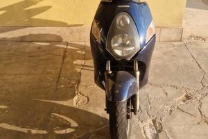 motore